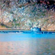 Illustration for article titled Did iTop Gear Russia/i Really Out A Secret Submarine?